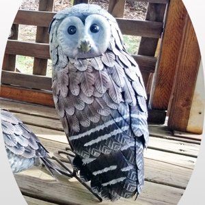 Hand Painted Metal Barn Owl, Medium